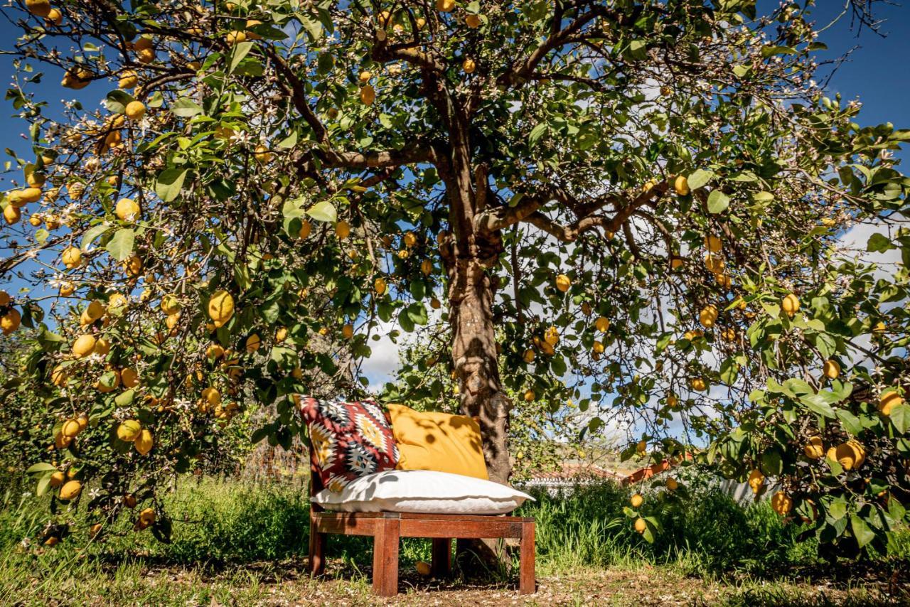 Finca El Limonar Alora Esterno foto