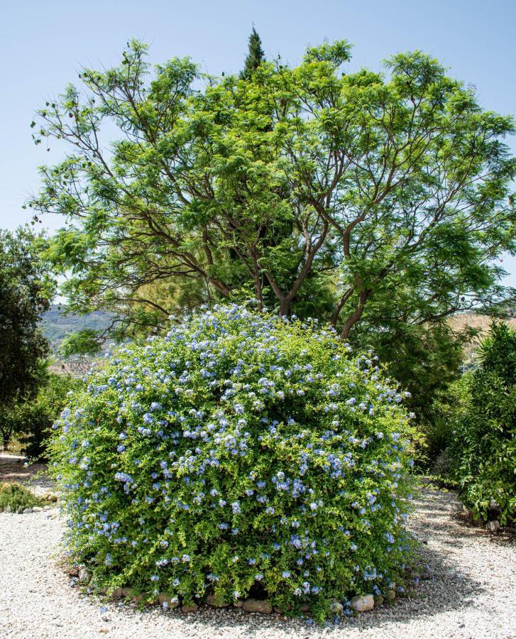 Finca El Limonar Alora Esterno foto