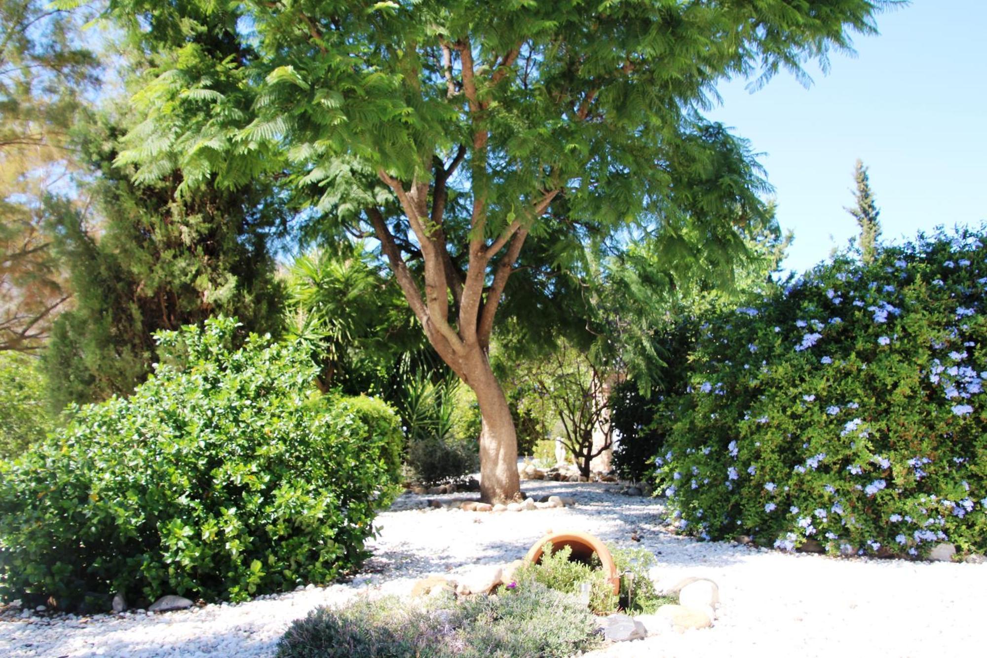 Finca El Limonar Alora Esterno foto